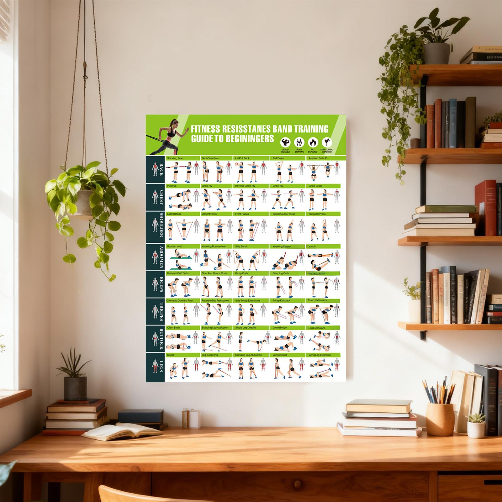 Workout Posters with Resistanc - Home Gym Guide ulasan dan harga