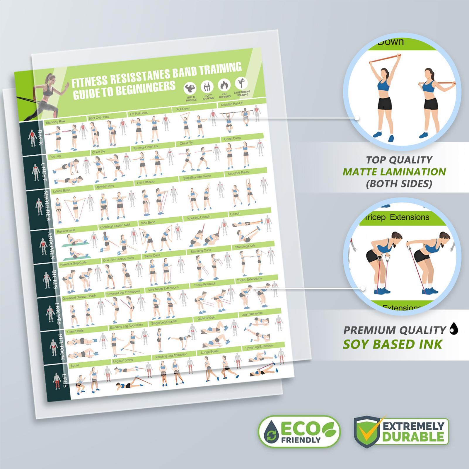 Workout Posters with Resistanc - Home Gym Guide ulasan dan harga