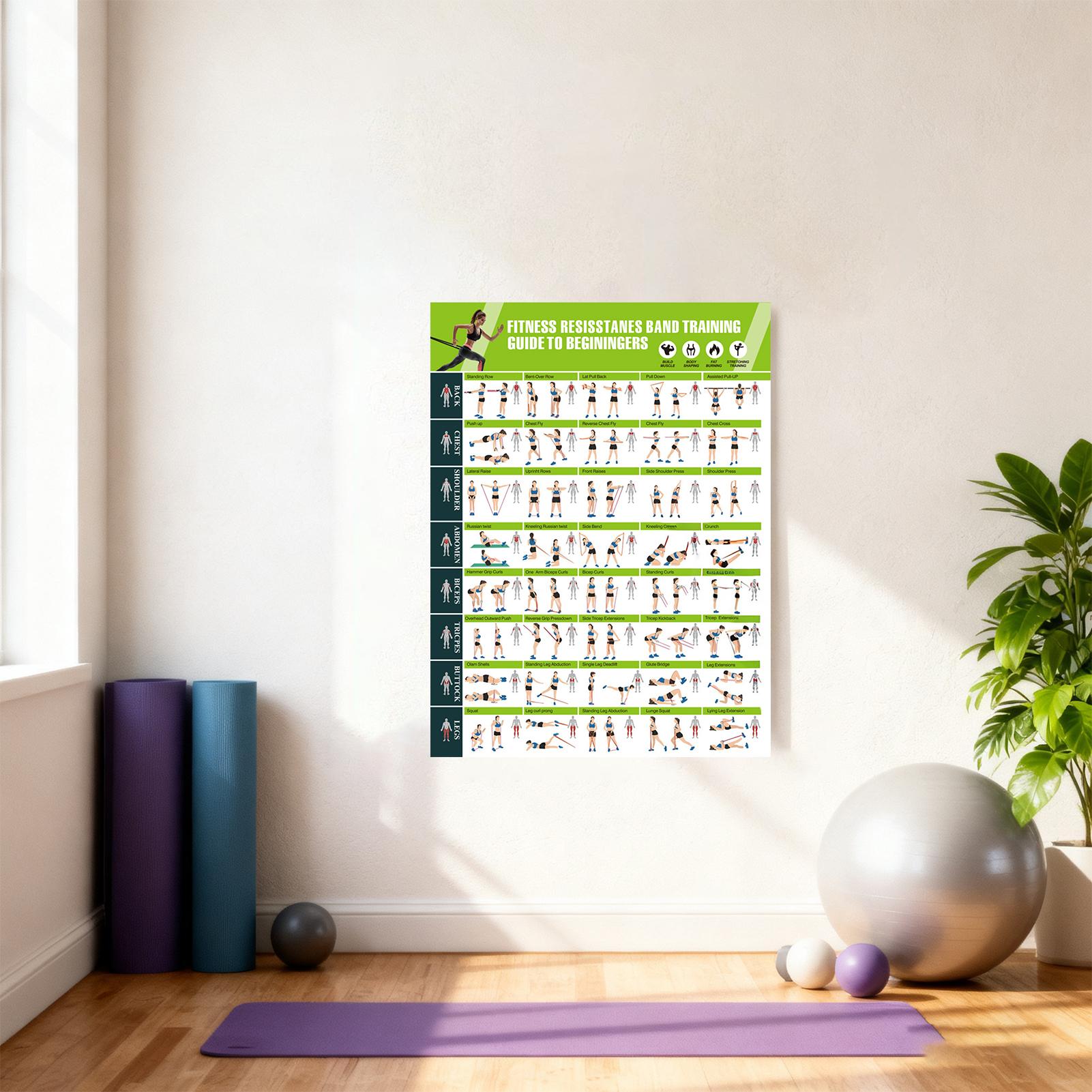 Workout Posters with Resistanc - Home Gym Guide ulasan dan harga