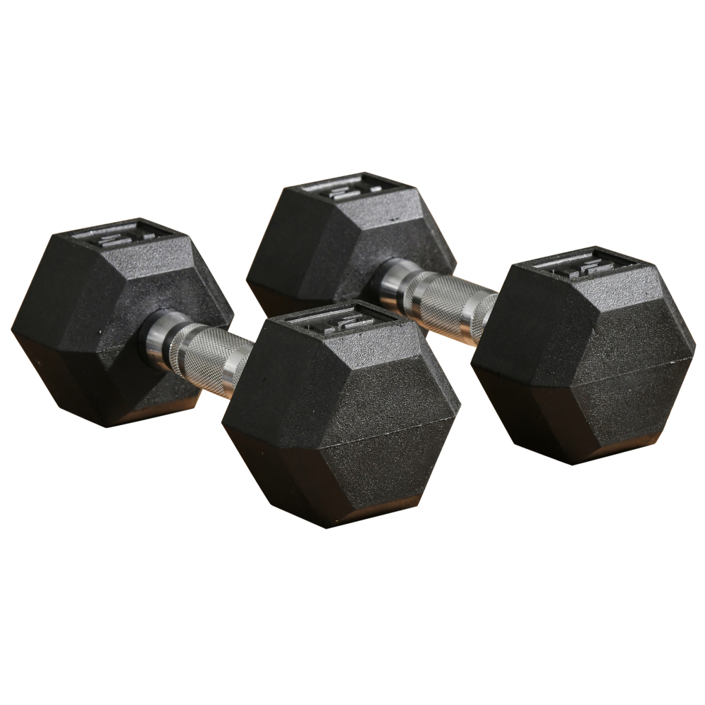 Ye Soozier 2x15lbs Hex Dumbbel - Hex Dumbbell Set ulasan dan harga