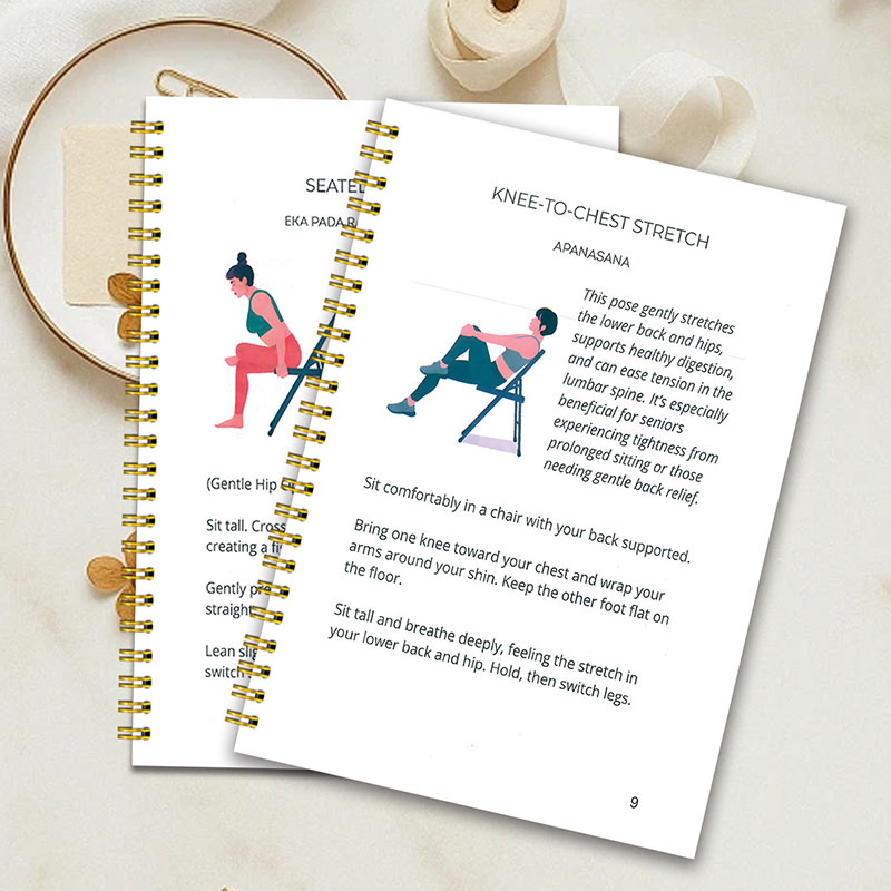 30 Day Chair Yoga Weight Loss  - Home Gym Guide ulasan dan harga