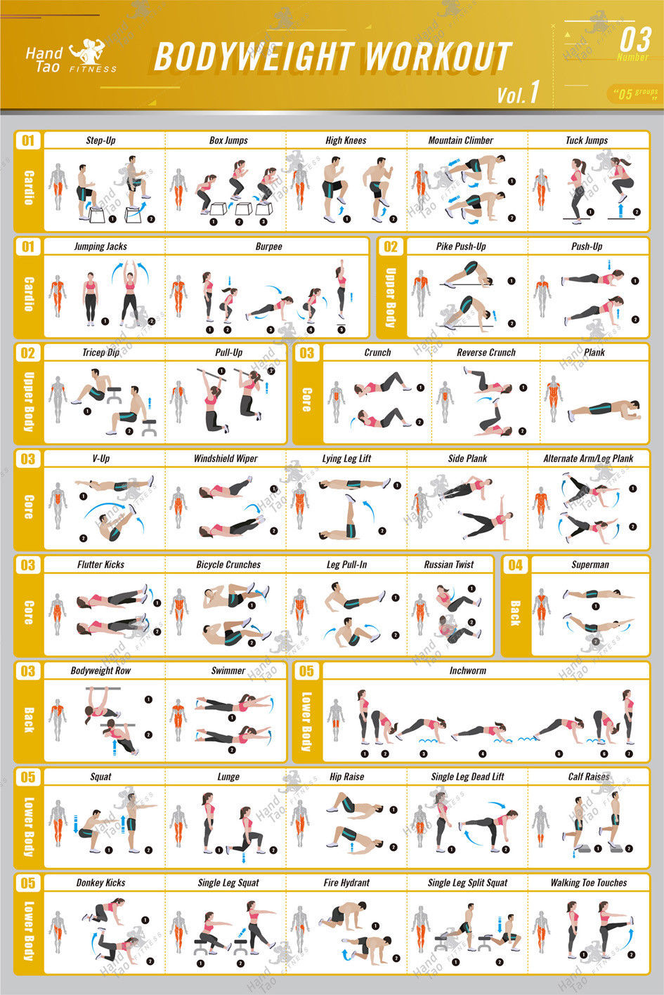 Bodyweight workout Exercise Bo - Home Gym Guide ulasan dan harga