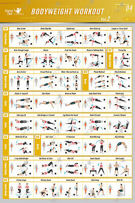 Bodyweight workout Exercise Bo - Home Gym Guide ulasan dan harga