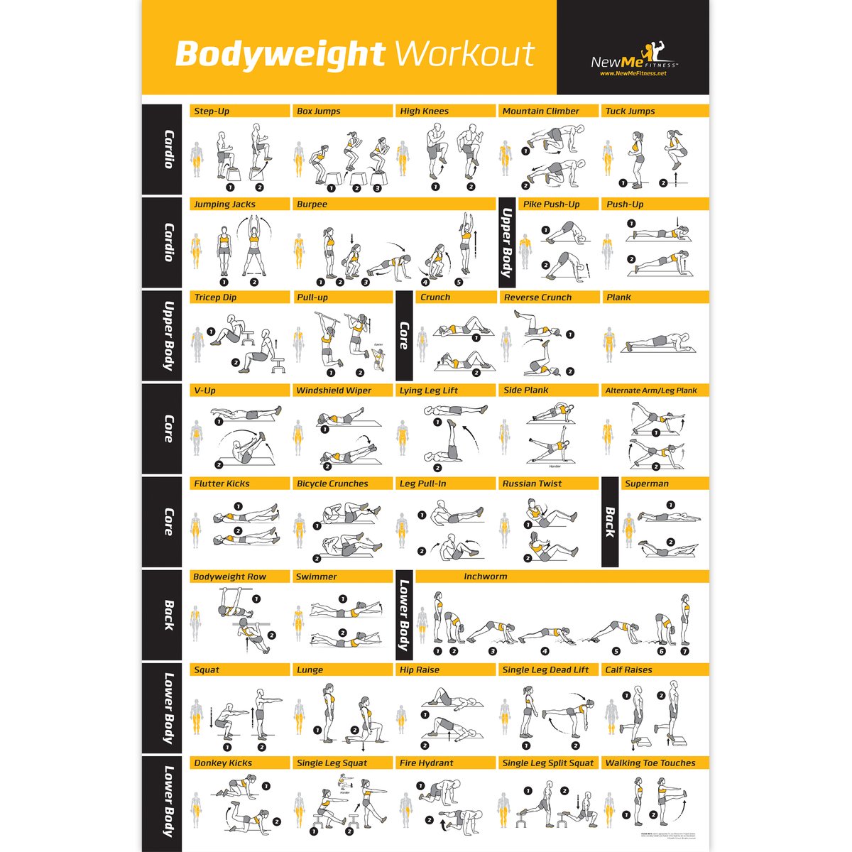 Bodyweight workout Exercise Bo - Home Gym Guide ulasan dan harga