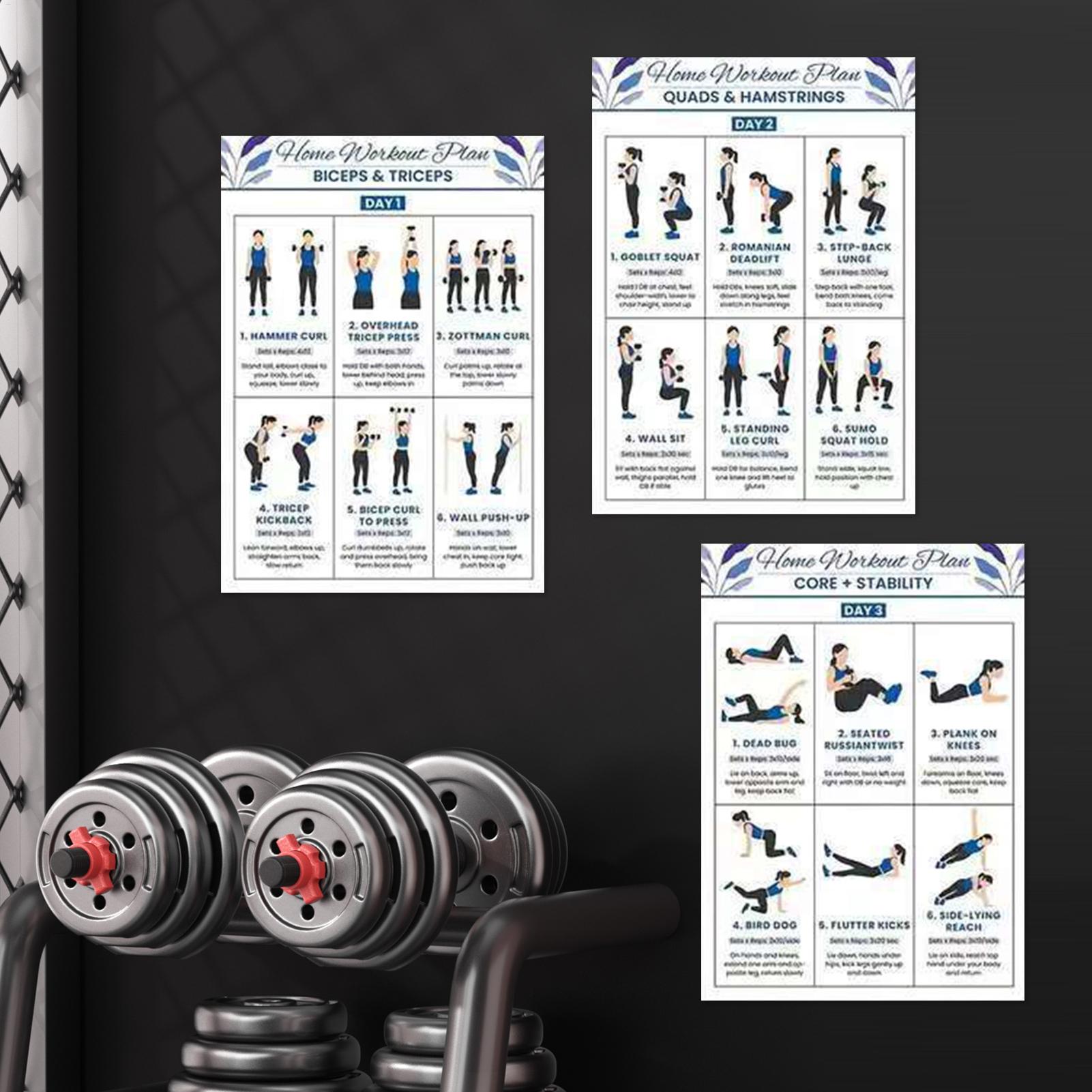 6pcs Yoga Dumbbell Stretching  - Home Gym Guide ulasan dan harga